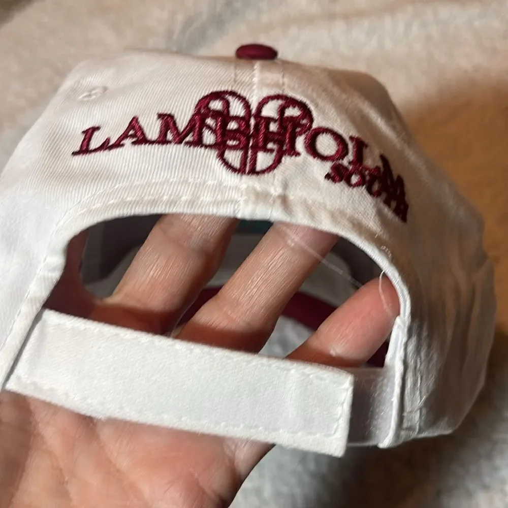 Tampa bay downs hat